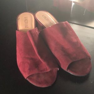 Lane Bryant Suede Mules